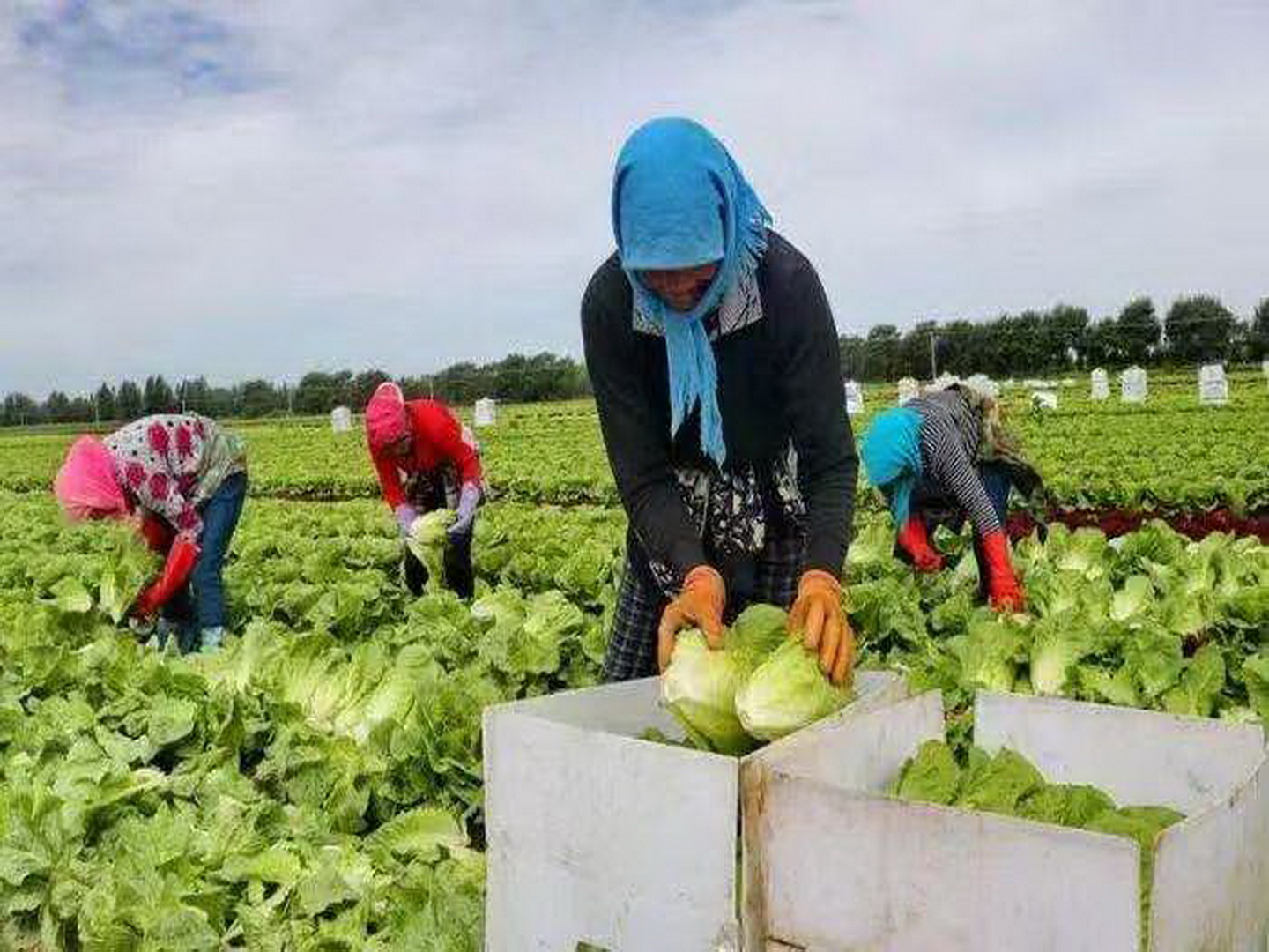广东会vip贵宾厅(集团)官方网站